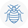 Bed Bug Extermination In Warminster
