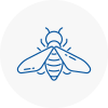 Bee Nest Removal Warminster