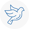 Bird Prevention Warminster