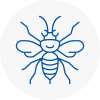 Warminster Hornet Nest Removals