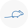 Mice Exterminators In Warminster