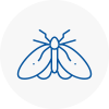Moth Control Specialists In Warminster