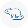 Rat Control Warminster