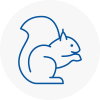 Warminster Rodent Removals