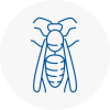 Warminster Wasp Nest Removal